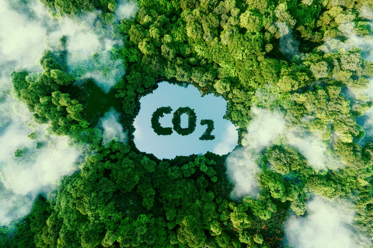 Co2 flexschil